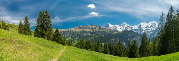 Muhteşem dağ manzaralarına ve yürüyüş Lauterbrunnen bölge, İsviçre İsviçre Alpleri peyzaj Stechelberg yakınındaki iz