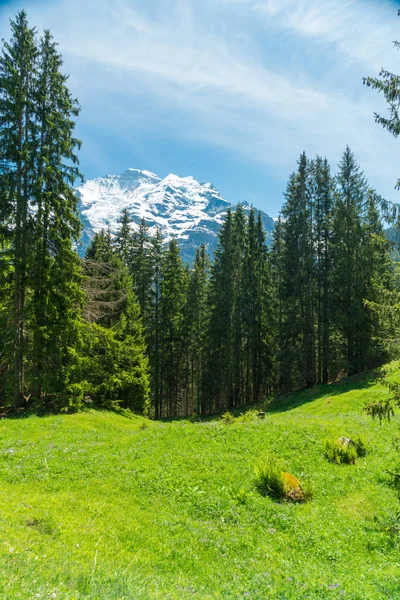 Wspaniałe Widoki Góry Piesze Wycieczki Szlak Szwajcarskich Alpach Krajobrazu Pobliżu — Zdjęcie stockowe