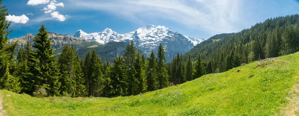 Πανοραμική Θέα Στο Βουνό Και Πεζοπορία Trail Στο Ελβετικές Άλπεις — Φωτογραφία Αρχείου