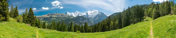 Panorama dağ manzaralarına ve yürüyüş Lauterbrunnen bölge, İsviçre İsviçre Alpleri peyzaj Stechelberg yakınındaki iz