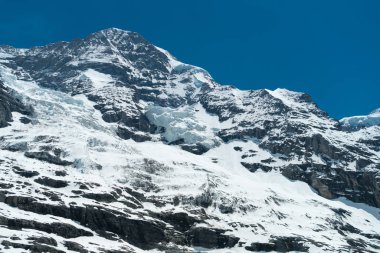 Bernese Alps, İsviçre için 4 bin metre doruklarına tarafından sınırlanmıştır Aletsch Buzulu muhteşem görünümü
