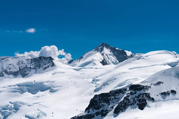 Vue Spectaculaire Sur Glacier Aletsch Bordé Par Quatre Mille Mètres — Photo