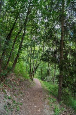 Muhteşem görünümünü Pyramides d'Euseigne İsviçre Alpleri'nde, Valais, İsviçre