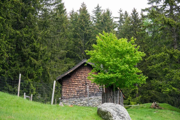 Parc Merlet Berg Pointe Lapaz Tegen Mont Blanc Les Houches — Stockfoto