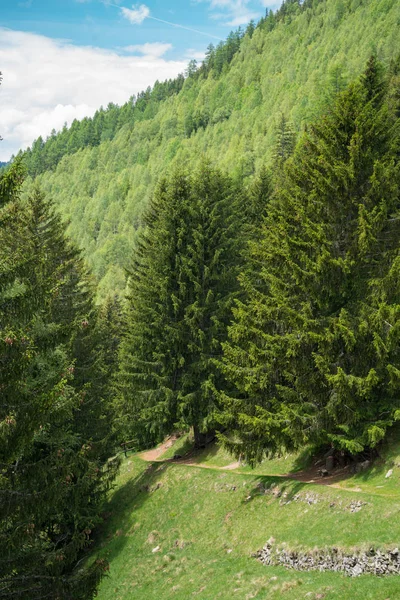 Mont Blanc, Les Houches, Haute-Savoie, Fransa 'ya karşı Pointe de Lapaz Dağı' ndaki Parc de Merlet