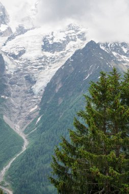 Güzellikler Grandes Jorasses, Dent du Geant ve görkemli Mont Blanc Blanc - Alpler en yüksek Dağı ve Parc de Merlet, Les Houches, Haute-Savoie, Fransa Avrupa'nın en yüksek