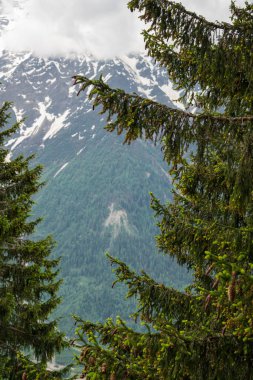 Güzellikler Grandes Jorasses, Dent du Geant ve görkemli Mont Blanc Blanc - Alpler en yüksek Dağı ve Parc de Merlet, Les Houches, Haute-Savoie, Fransa Avrupa'nın en yüksek