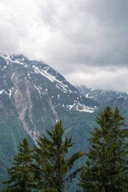 Güzellikler Grandes Jorasses, Dent du Geant ve görkemli Mont Blanc Blanc - Alpler en yüksek Dağı ve Parc de Merlet, Les Houches, Haute-Savoie, Fransa Avrupa'nın en yüksek