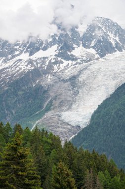 Güzellikler Grandes Jorasses, Dent du Geant ve görkemli Mont Blanc Blanc - Alpler en yüksek Dağı ve Parc de Merlet, Les Houches, Haute-Savoie, Fransa Avrupa'nın en yüksek