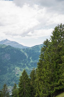 Güzellikler Grandes Jorasses, Dent du Geant ve görkemli Mont Blanc Blanc - Alpler en yüksek Dağı ve Parc de Merlet, Les Houches, Haute-Savoie, Fransa Avrupa'nın en yüksek