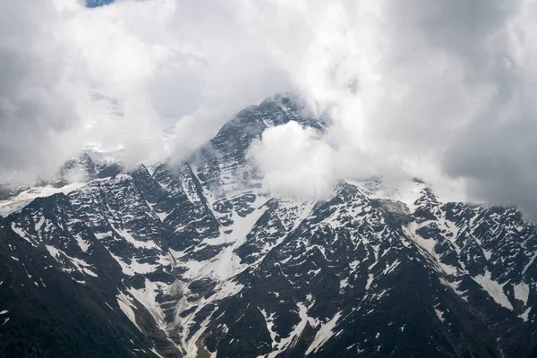 美丽的全景高等 Jorasses Geant 和光荣的勃朗峰 最高的山在阿尔卑斯和欧洲最高的从公园劳伦特 梅尔雷特 Les 莱苏什 — 图库照片