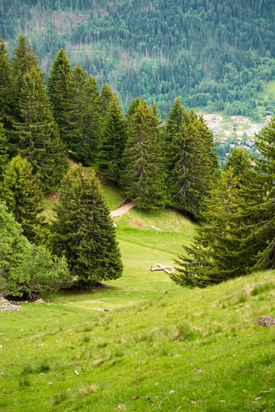 Parc Merlet Auf Der Pointe Lapaz Gegen Den Mont Blanc — Stockfoto