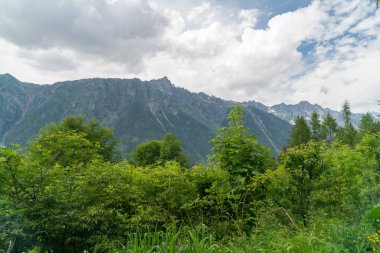 Cascade du Dard yakınlarındaki orman - Mont-Blanc, Haute-Savoie, Fransa 'da fantastik bir şelale