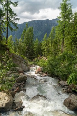 Art arda sıralı du Dard - fantastik bir şelale manzarası 1233 m yirmi metre yüksekliğinde Mont-Blanc, Haute-Savoie, Fransa altında bulunan