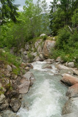 Art arda sıralı du Dard - fantastik bir şelale manzarası 1233 m yirmi metre yüksekliğinde Mont-Blanc, Haute-Savoie, Fransa altında bulunan