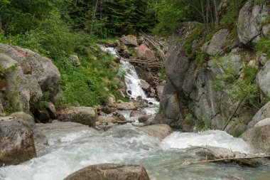 Art arda sıralı du Dard - fantastik bir şelale manzarası 1233 m yirmi metre yüksekliğinde Mont-Blanc, Haute-Savoie, Fransa altında bulunan