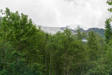 Cascade du Dard yakınlarındaki orman - Mont-Blanc, Haute-Savoie, Fransa 'da fantastik bir şelale