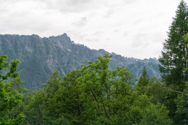 Cascade du Dard yakınlarındaki orman - Mont-Blanc, Haute-Savoie, Fransa 'da fantastik bir şelale