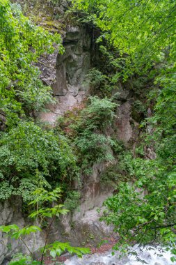 Art arda sıralı du Dard - fantastik bir şelale manzarası 1233 m yirmi metre yüksekliğinde Mont-Blanc, Haute-Savoie, Fransa altında bulunan