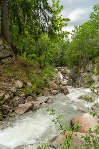Art arda sıralı du Dard - fantastik bir şelale manzarası 1233 m yirmi metre yüksekliğinde Mont-Blanc, Haute-Savoie, Fransa altında bulunan