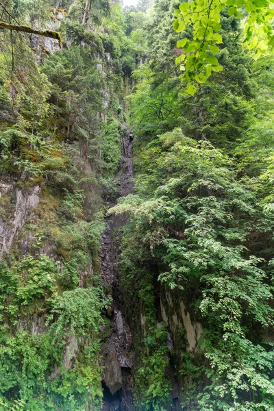 Δάσος Κοντά Στο Cascade Dard Ένας Φανταστικός Καταρράκτης Στο Mont — Φωτογραφία Αρχείου