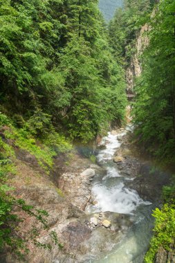Gorges du Durnand, İsviçre Alpleri şaşırtıcı basamaklı şelale 