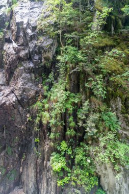 Gorges du Durnand, İsviçre Alpleri şaşırtıcı basamaklı şelale 