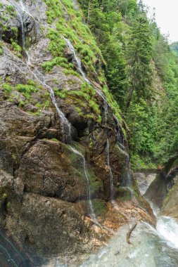 Gorges du Durnand, İsviçre Alpleri şaşırtıcı basamaklı şelale 