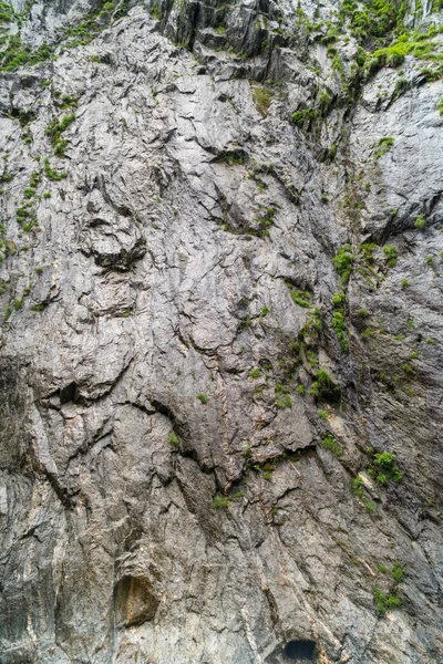 Forêt Étonnante Dans Les Gorges Durnand Suisse Alpes — Photo