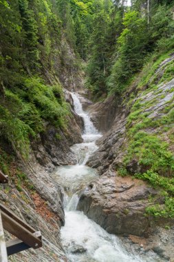 Gorges du Durnand, İsviçre Alpleri şaşırtıcı basamaklı şelale 