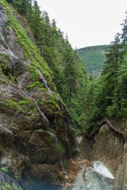 Gorges du Durnand, İsviçre Alpleri şaşırtıcı basamaklı şelale 