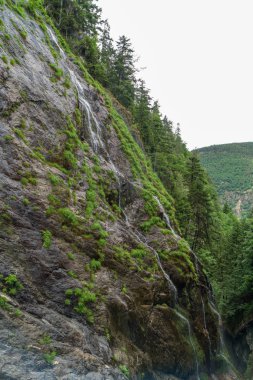 Gorges du Durnand, İsviçre Alpleri şaşırtıcı basamaklı şelale 