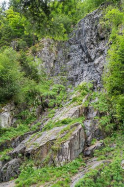 Gorges du Durnand, İsviçre Alpleri şaşırtıcı ormanda 