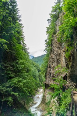 Gorges du Durnand, İsviçre Alpleri şaşırtıcı basamaklı şelale 