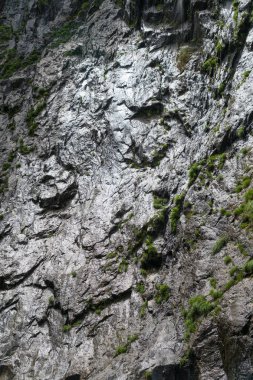 Gorges du Durnand, İsviçre Alpleri şaşırtıcı ormanda 