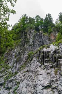 Gorges du Durnand, İsviçre Alpleri şaşırtıcı ormanda 