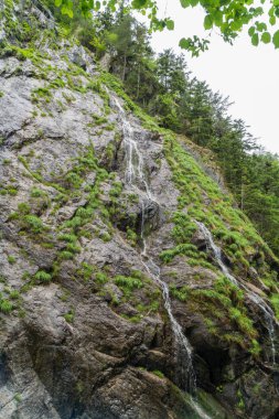 Gorges du Durnand, İsviçre Alpleri şaşırtıcı basamaklı şelale 
