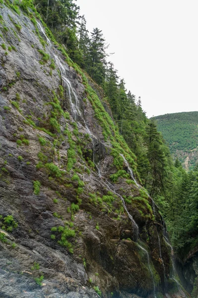 Gorges du Durnand, İsviçre Alpleri şaşırtıcı basamaklı şelale 