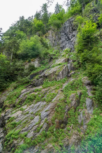 Gorges du Durnand, İsviçre Alpleri şaşırtıcı basamaklı şelale 