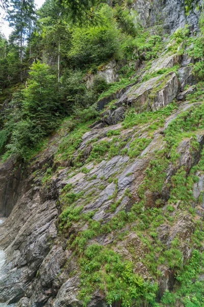 Úžasný Lese Gorges Durnand Alpy Švýcarsko — Stock fotografie