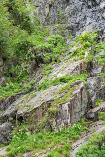 Gorges du Durnand, İsviçre Alpleri şaşırtıcı ormanda 