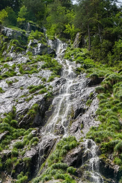 Cascades Étonnantes Cascade Dans Les Gorges Durnand Suisse Alpes — Photo