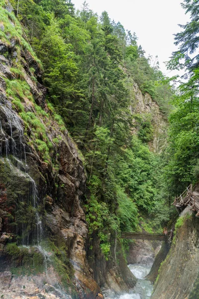 Gorges du Durnand, İsviçre Alpleri şaşırtıcı basamaklı şelale 