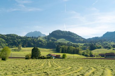 Muhteşem panoramik dağ eteklerinde, Canton Fribourg, İsviçre Gruyeres Kalesi (Chateau de Gruyeres),