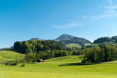 Muhteşem panoramik dağ eteklerinde, Canton Fribourg, İsviçre Gruyeres Kalesi (Chateau de Gruyeres),