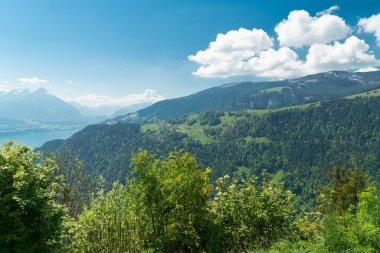 Ormanın çevresinde Lac Vert Vosges Dağları, Alsace, Doğu Fransa sonbahar manzarası