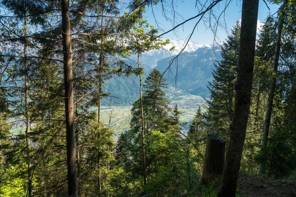 Spektakularny Widok Jesień Lesie Okolicy Vert Lac Górach Alzacja Vosges — Zdjęcie stockowe