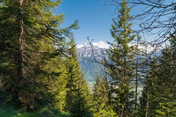 Φθινοπωρινή Θέα Δάσος Γύρω Από Lac Vert Στην Ανατολική Γαλλία — Φωτογραφία Αρχείου