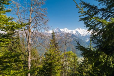 Muhteşem dağ manzaralarına ve daha sert Kulm, İsviçre İsviçre Alpleri yataydan hiking trail