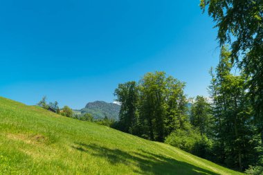 Muhteşem dağ manzaralarına ve Pilatus Kulm, İsviçre İsviçre Alpleri yataydan hiking trail
